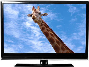 በ LED TV እና በኤል ሲ ዲ ቲቪ መካከል ያለው ልዩነት ምንድነው?